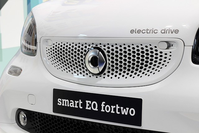 SMART 453 Elettrica GF259HA